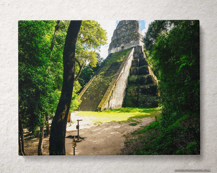 Tikal Temple V Guatemala Framed Print, Canvas, Poster | Mexico | Yucatan | Engineering | Gods | Mythology Aztec | Mayans | Wall Art Décor