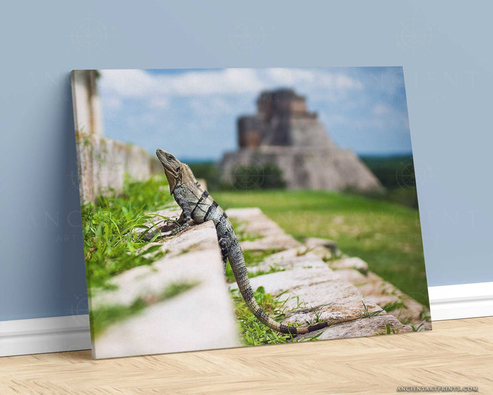 Ruins of Uxmal & Lizard Framed Print, Canvas, Poster | Mexico | Yucatan | Engineering | Aztec | Mayan | Reptile | Ancient Wall Art Décor