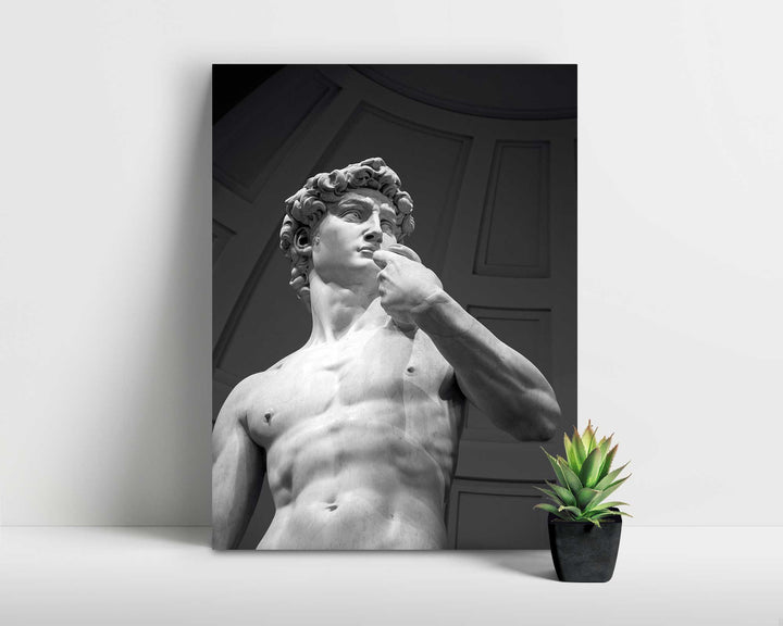 Statue of David, Michelangelo Framed Print, Canvas, Poster