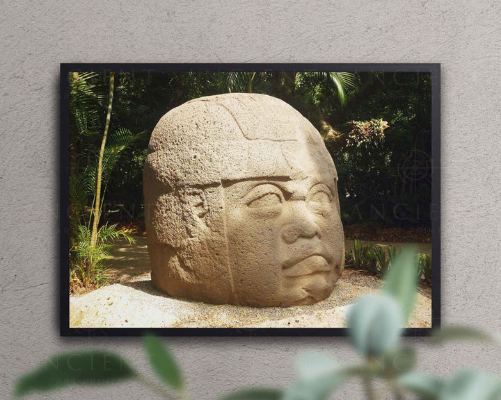 Olmec Colossal Stone Head Framed Print, Canvas, Poster | Mexico | Aztec | Mayans | Ancient | Mythology | History | Ancient Wall Art Décor